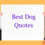 Best Dog Quotes